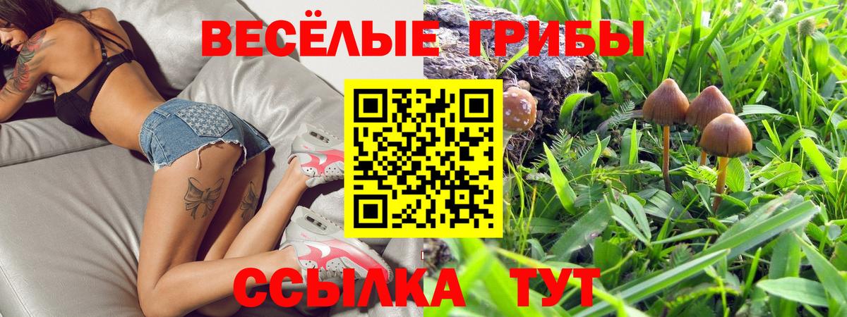Псилоцибиновые грибы Psilocybe  Галлюциногенные грибы Cubensis  Вход с VPN  Пыть-Ях 