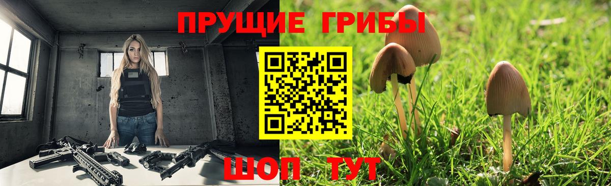 Галлюциногенные грибы Psilocybine cubensis Пыть-Ях
